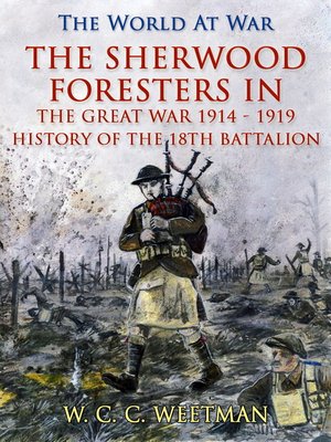 cover image of The Sherwood Foresters in the Great War 1914--1919